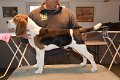 Afb_20171112_fritz (7)